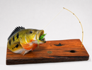 CABEÇA DE TUCUNARE NA ISCA ESCULTURA REALISTA DE PESCA  – 50 CM